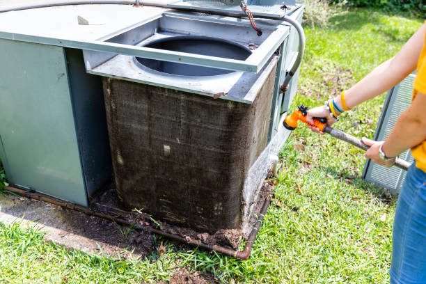 Air Duct Mold Removal in LA