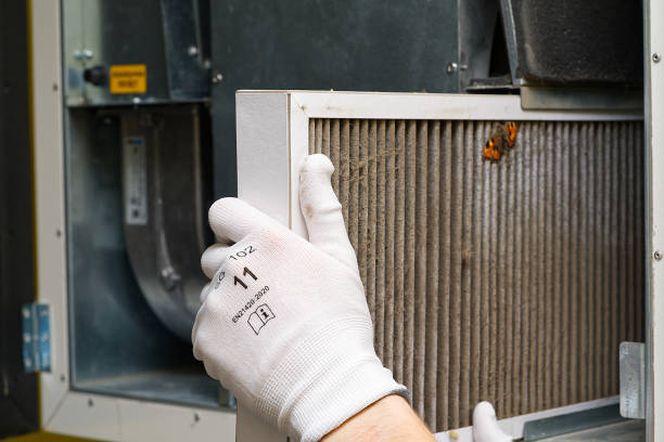 Best Dryer Vent Cleaning Services  in Tickfaw, LA